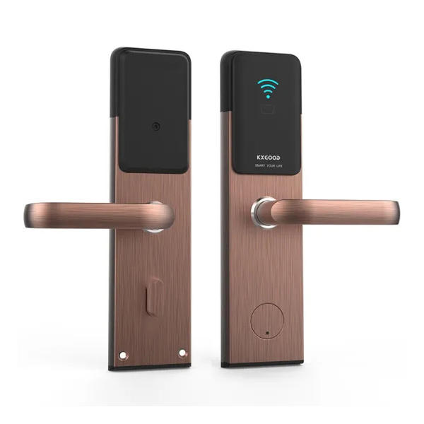 Function of Home Electronic Electric Tuya App Wifi Smart Lock